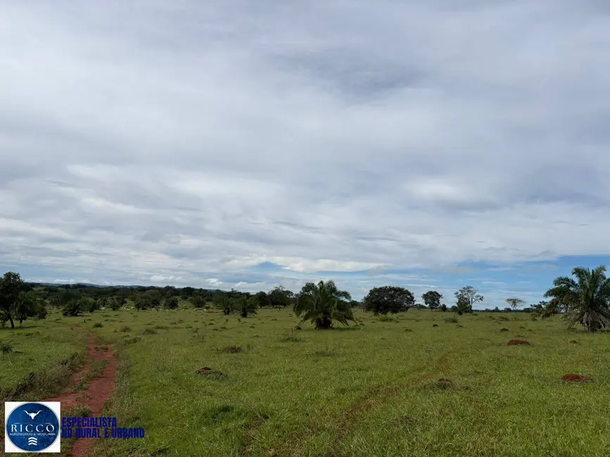 Foto 6 de Fazenda / Haras com 3 quartos à venda, 47m2 em Morrinhos - GO