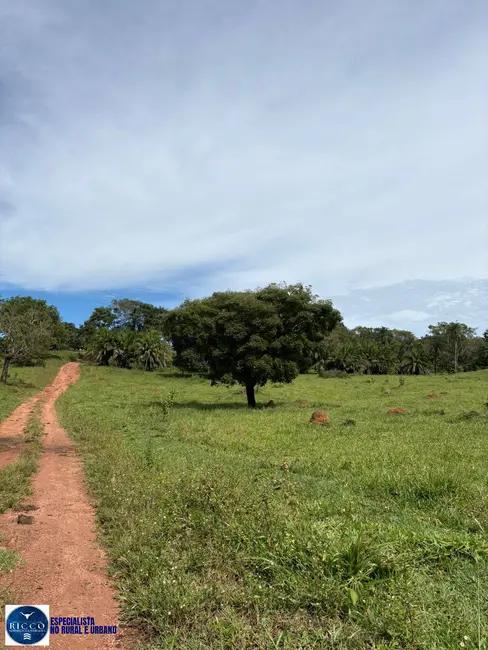 Foto 8 de Fazenda / Haras com 3 quartos à venda, 47m2 em Morrinhos - GO