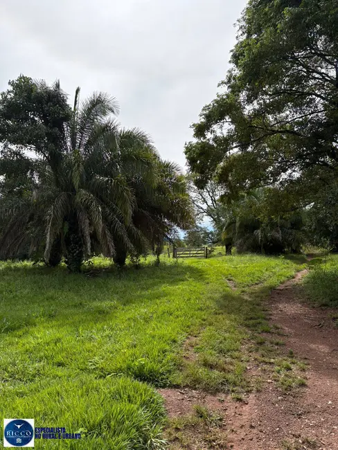 Foto 2 de Fazenda / Haras com 3 quartos à venda, 47m2 em Morrinhos - GO