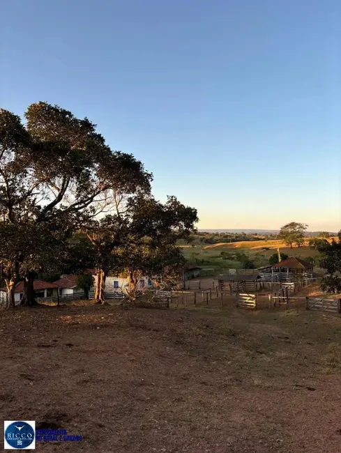 Foto 1 de Fazenda / Haras com 3 quartos à venda, 47m2 em Morrinhos - GO