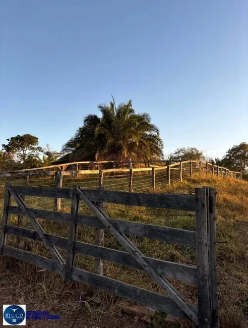 Foto 9 de Fazenda / Haras com 3 quartos à venda, 47m2 em Morrinhos - GO