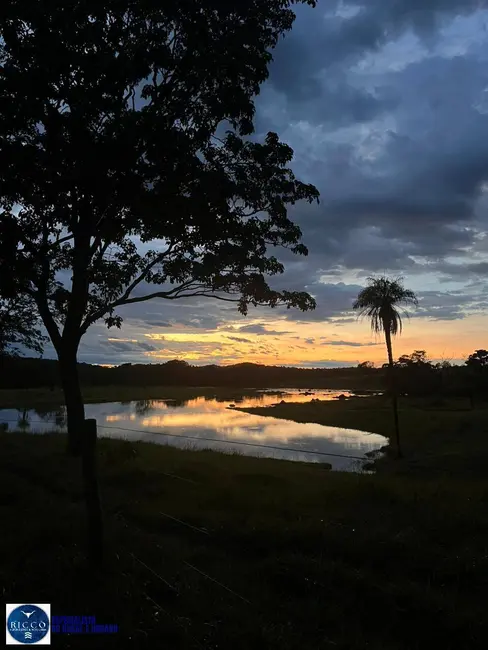 Foto 7 de Fazenda / Haras à venda, 76m2 em Crixas - GO
