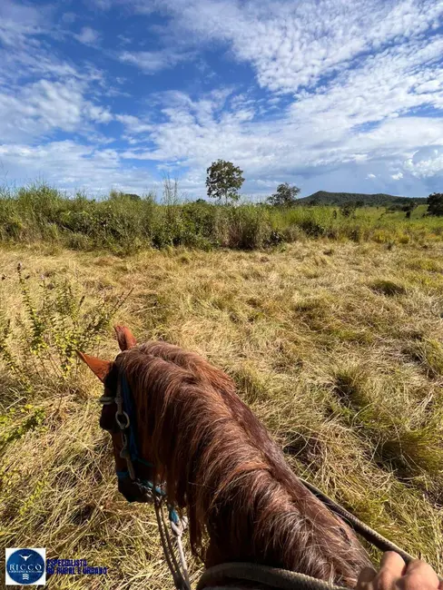 Foto 8 de Fazenda / Haras à venda, 76m2 em Crixas - GO
