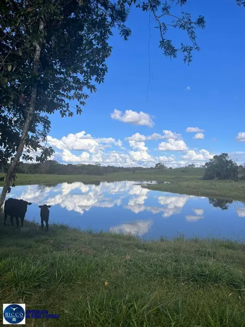 Foto 3 de Fazenda / Haras à venda, 76m2 em Crixas - GO