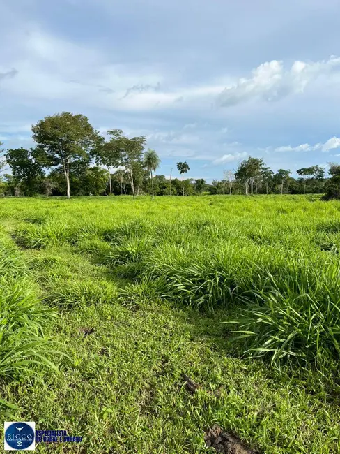 Foto 6 de Fazenda / Haras à venda, 76m2 em Crixas - GO