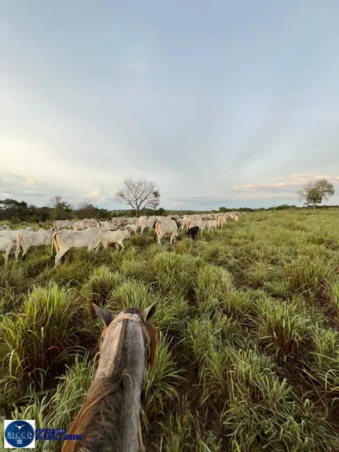 Foto 4 de Fazenda / Haras à venda, 76m2 em Crixas - GO