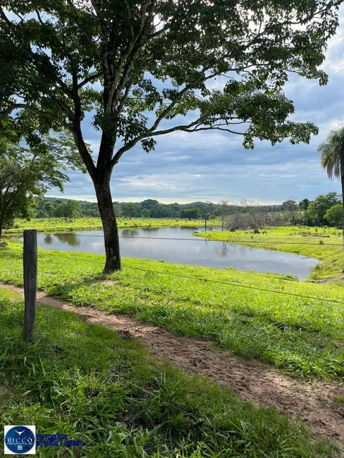 Foto 1 de Fazenda / Haras à venda, 76m2 em Crixas - GO