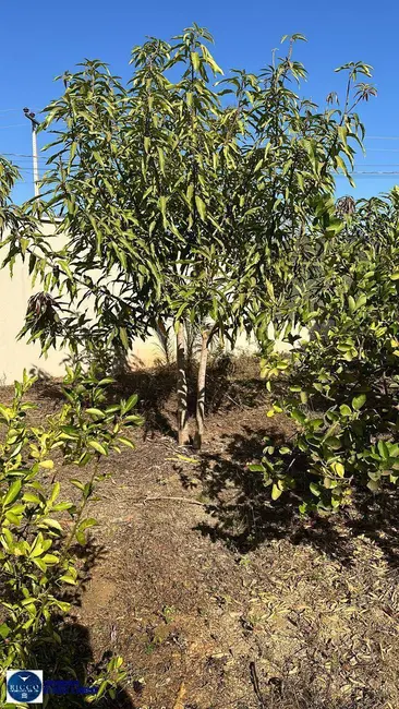 Foto 9 de Chácara com 6 quartos à venda, 1178m2 em Alexania - GO