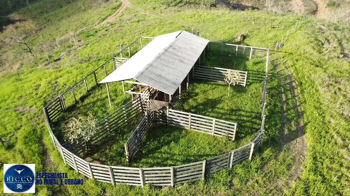 Foto 1 de Fazenda / Haras com 2 quartos à venda, 31m2 em Pires Do Rio - GO