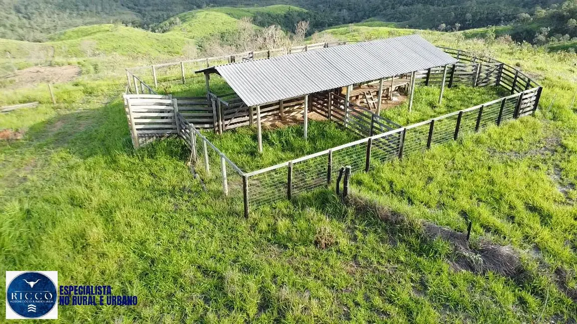 Foto 7 de Fazenda / Haras com 2 quartos à venda, 31m2 em Pires Do Rio - GO