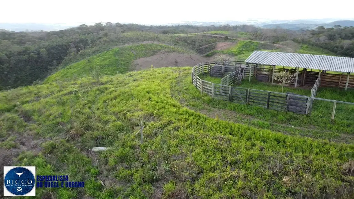 Foto 6 de Fazenda / Haras com 2 quartos à venda, 31m2 em Pires Do Rio - GO