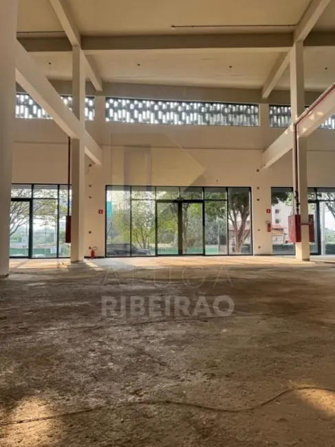 Foto 1 de Sala Comercial para alugar, 156m2 em Jardim Sumaré, Ribeirao Preto - SP