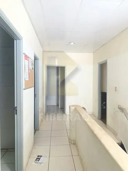 Foto 5 de Sala Comercial com 1 quarto para alugar, 713m2 em Vila Seixas, Ribeirao Preto - SP
