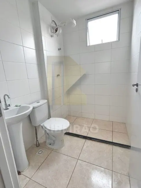 Apartamento com 2 quartos à venda, 43m2 em Ipiranga, Ribeirao Preto - SP - imagem 5 Foto 5 de Apartamento com 2 quartos à venda, 43m2 em Ipiranga, Ribeirao Preto - SP
