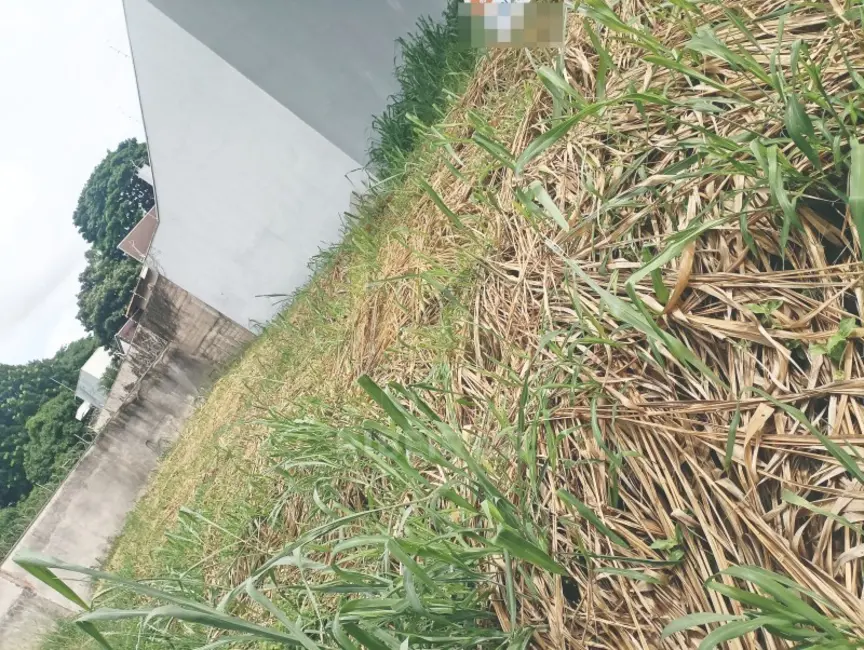 Foto 3 de Terreno / Lote à venda, 280m2 em Alto da Boa Vista, Ribeirao Preto - SP