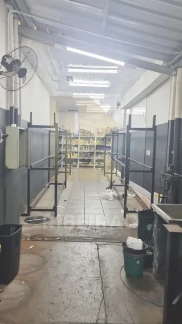 Sala Comercial para alugar, 401m2 em Jardim Califórnia, Ribeirao Preto - SP - imagem 6 Foto 6 de Sala Comercial para alugar, 401m2 em Jardim Califórnia, Ribeirao Preto - SP