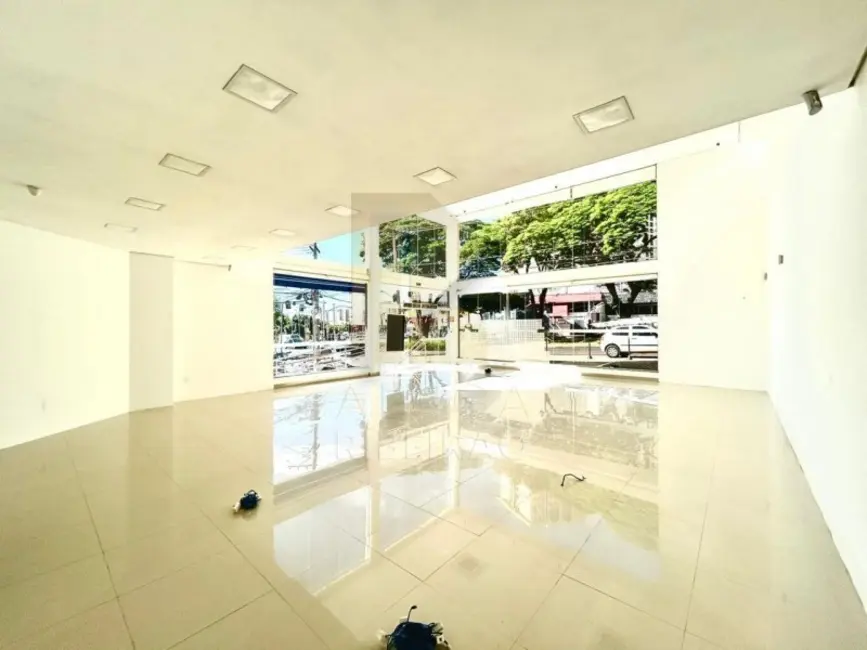 Sala Comercial com 1 quarto para alugar, 240m2 em Jardim América, Ribeirao Preto - SP - imagem 6 Foto 6 de Sala Comercial com 1 quarto para alugar, 240m2 em Jardim América, Ribeirao Preto - SP