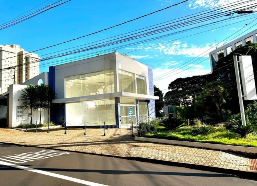 Sala Comercial com 1 quarto para alugar, 240m2 em Jardim América, Ribeirao Preto - SP - imagem 4 Foto 4 de Sala Comercial com 1 quarto para alugar, 240m2 em Jardim América, Ribeirao Preto - SP