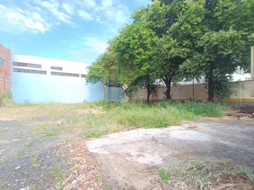 Foto 5 de Sala Comercial para alugar, 525m2 em Vila Mariana, Ribeirao Preto - SP