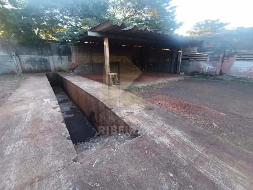 Armazém / Galpão para alugar, 2700m2 em Parque Industrial Lagoinha, Ribeirao Preto - SP - imagem 3 Foto 3 de Armazém / Galpão para alugar, 2700m2 em Parque Industrial Lagoinha, Ribeirao Preto - SP