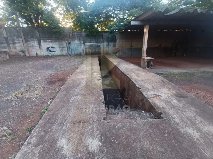 Armazém / Galpão para alugar, 2700m2 em Parque Industrial Lagoinha, Ribeirao Preto - SP - imagem 2 Foto 2 de Armazém / Galpão para alugar, 2700m2 em Parque Industrial Lagoinha, Ribeirao Preto - SP