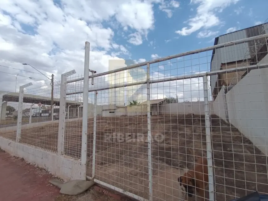 Foto 9 de Loja para alugar, 250m2 em Vila Mariana, Ribeirao Preto - SP