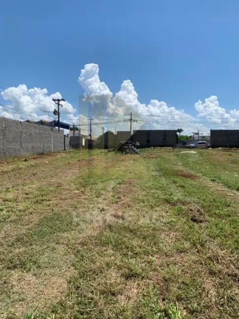 Foto 1 de Armazém / Galpão para alugar, 238m2 em Vila Mariana, Ribeirao Preto - SP