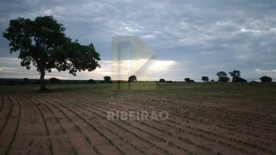 Fazenda / Haras com 1 quarto à venda, 18400m2 em Centro, Santa Fe De Minas - MG - imagem 4 Foto 4 de Fazenda / Haras com 1 quarto à venda, 18400m2 em Centro, Santa Fe De Minas - MG