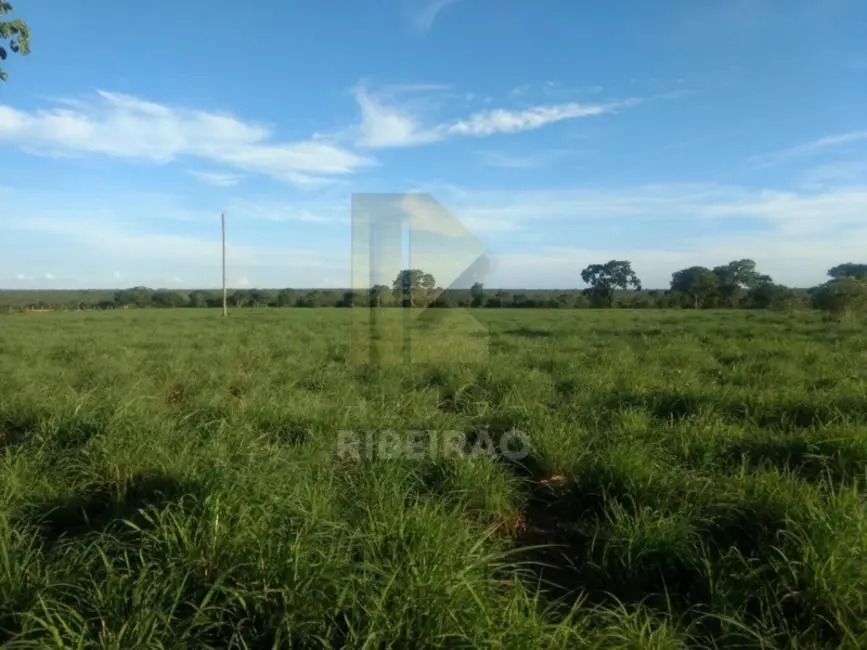 Fazenda / Haras com 1 quarto à venda, 18400m2 em Centro, Santa Fe De Minas - MG - imagem 9 Foto 9 de Fazenda / Haras com 1 quarto à venda, 18400m2 em Centro, Santa Fe De Minas - MG