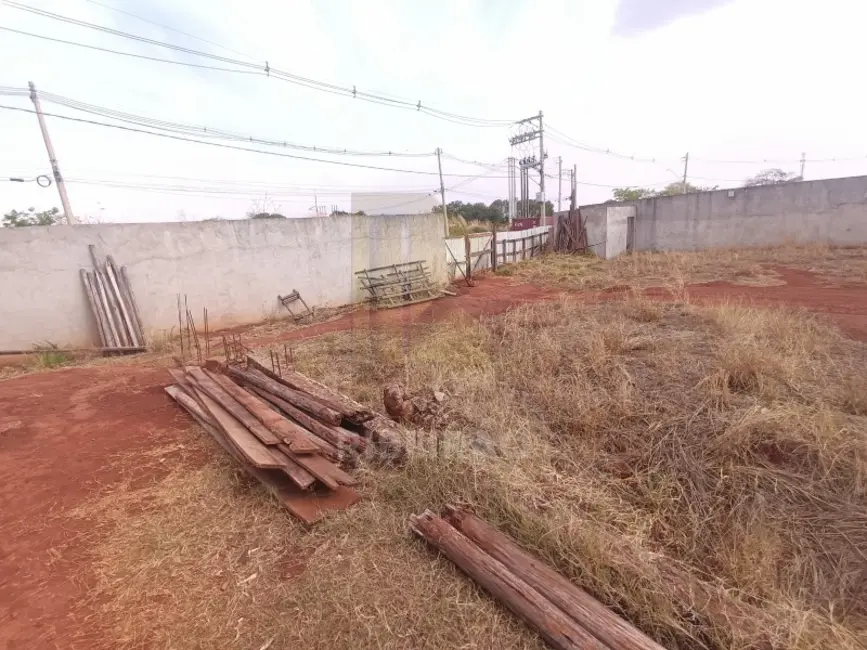 Armazém / Galpão com 1 quarto para alugar, 11500m2 em Ribeirao Preto - SP - imagem 6 Foto 6 de Armazém / Galpão com 1 quarto para alugar, 11500m2 em Ribeirao Preto - SP