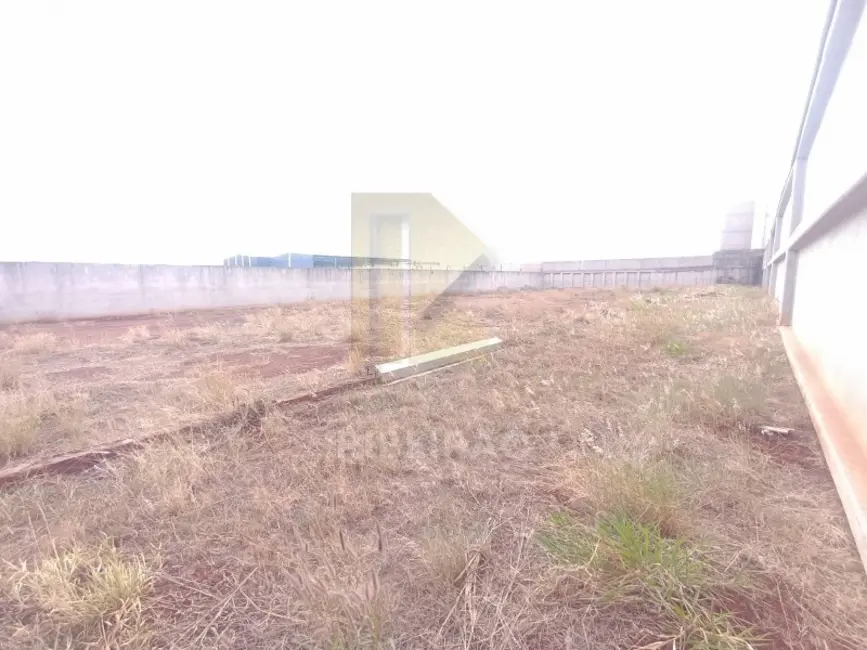 Armazém / Galpão com 1 quarto para alugar, 11500m2 em Ribeirao Preto - SP - imagem 8 Foto 8 de Armazém / Galpão com 1 quarto para alugar, 11500m2 em Ribeirao Preto - SP