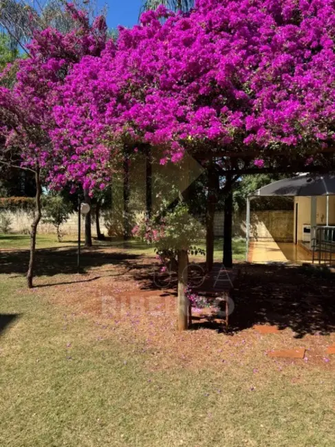 Foto 5 de Apartamento com 2 quartos à venda, 46m2 em Sumarezinho, Ribeirao Preto - SP