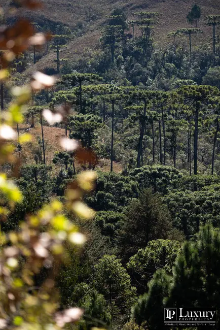 Casa de Condomínio com 5 quartos à venda em Campos Do Jordao - SP - imagem 6 Foto 6 de Casa de Condomínio com 5 quartos à venda em Campos Do Jordao - SP