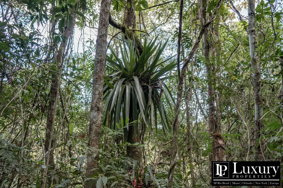 Foto 68 de Sítio / Rancho à venda em Juquitiba - SP