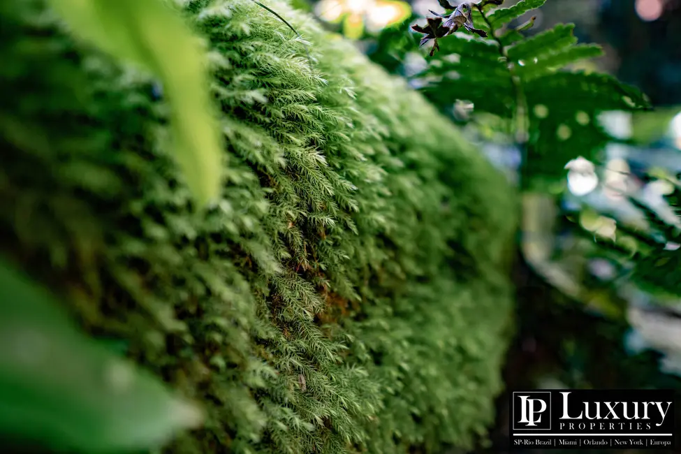 Foto 105 de Sítio / Rancho à venda em Juquitiba - SP