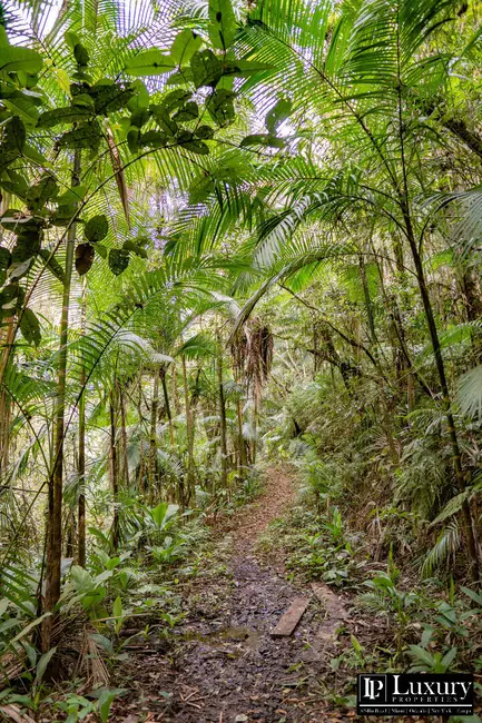 Foto 28 de Sítio / Rancho à venda em Juquitiba - SP