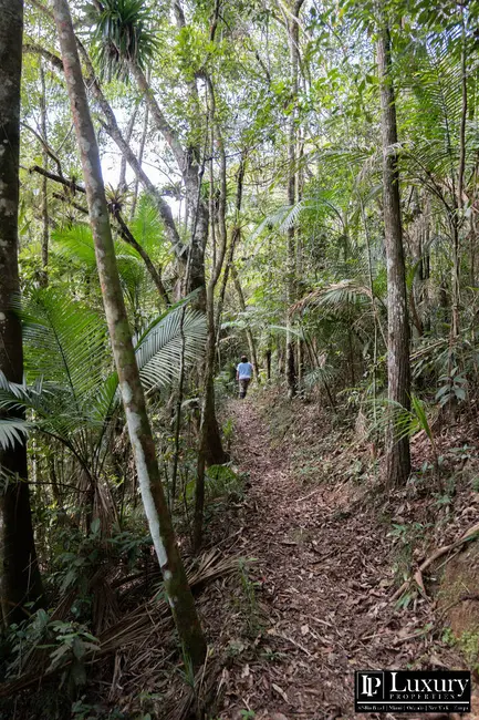 Foto 51 de Sítio / Rancho à venda em Juquitiba - SP