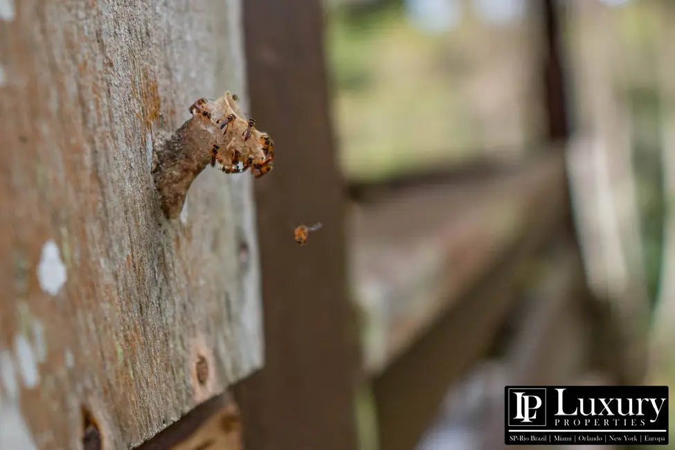 Foto 143 de Sítio / Rancho à venda em Juquitiba - SP