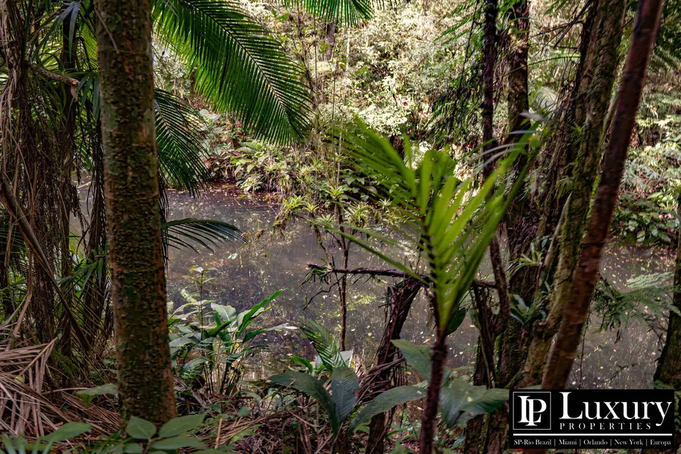 Foto 25 de Sítio / Rancho à venda em Juquitiba - SP
