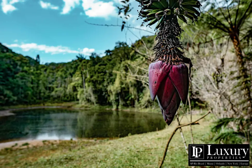 Foto 43 de Sítio / Rancho à venda em Juquitiba - SP