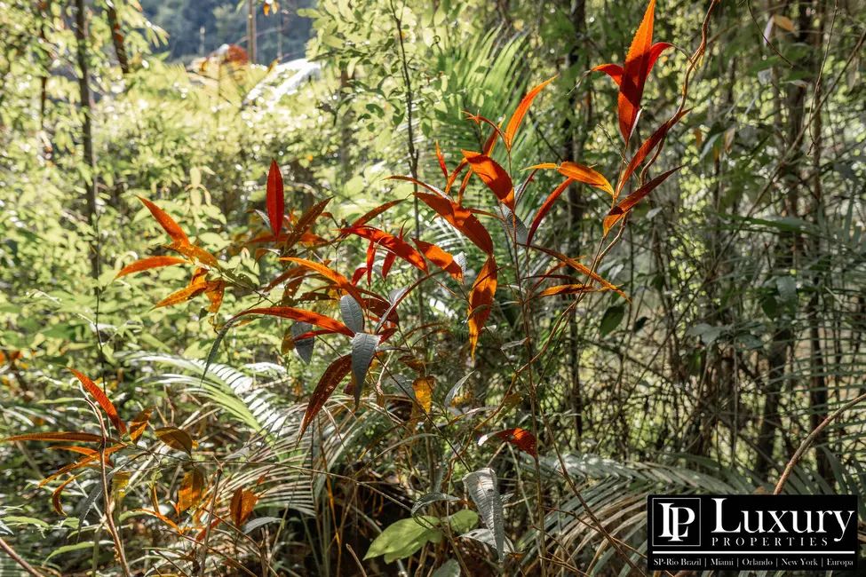Foto 57 de Sítio / Rancho à venda em Juquitiba - SP
