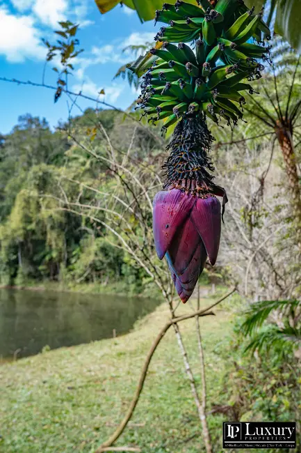 Foto 42 de Sítio / Rancho à venda em Juquitiba - SP