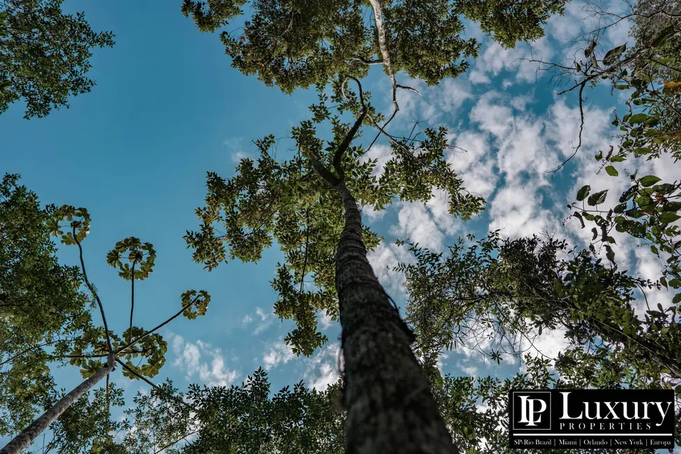 Foto 76 de Sítio / Rancho à venda em Juquitiba - SP