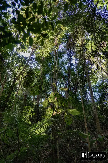 Foto 101 de Sítio / Rancho à venda em Juquitiba - SP