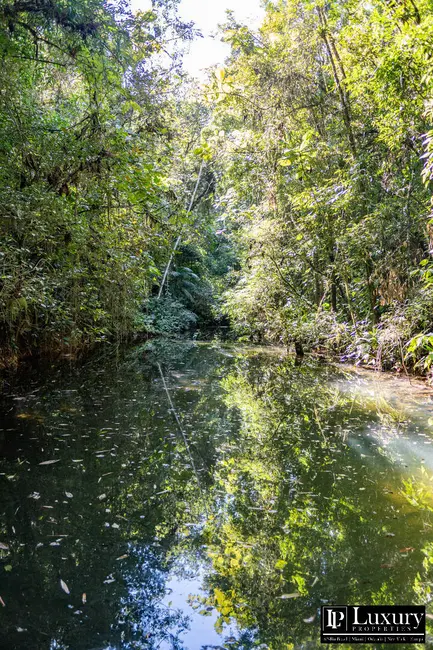 Foto 114 de Sítio / Rancho à venda em Juquitiba - SP
