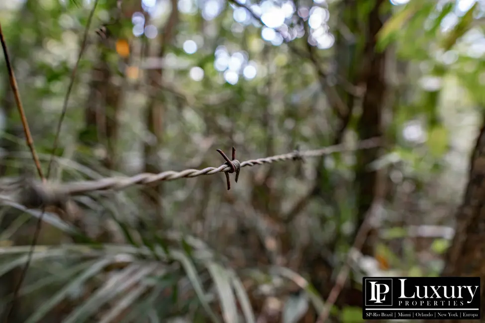 Foto 70 de Sítio / Rancho à venda em Juquitiba - SP