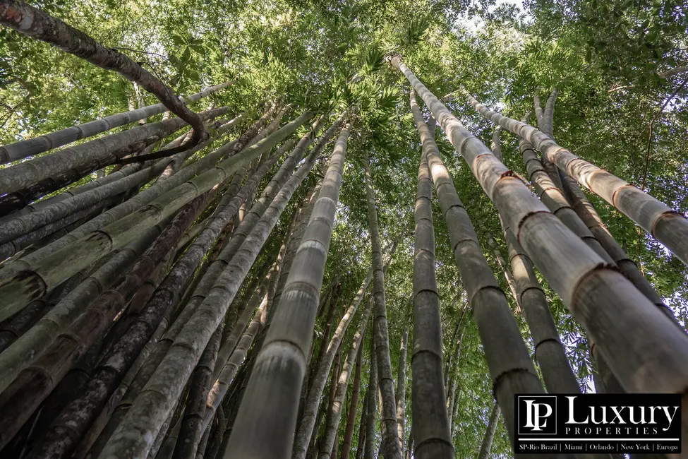 Foto 95 de Sítio / Rancho à venda em Juquitiba - SP