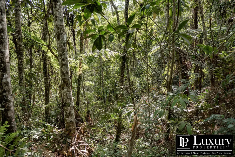 Foto 73 de Sítio / Rancho à venda em Juquitiba - SP