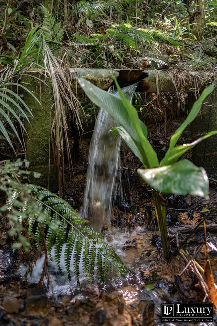 Foto 111 de Sítio / Rancho à venda em Juquitiba - SP