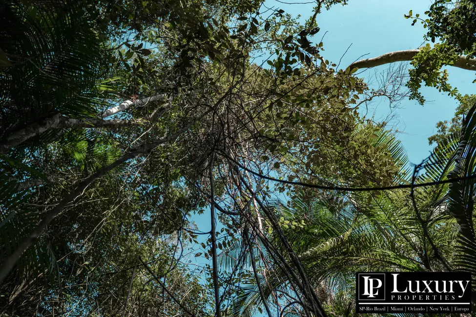 Foto 84 de Sítio / Rancho à venda em Juquitiba - SP